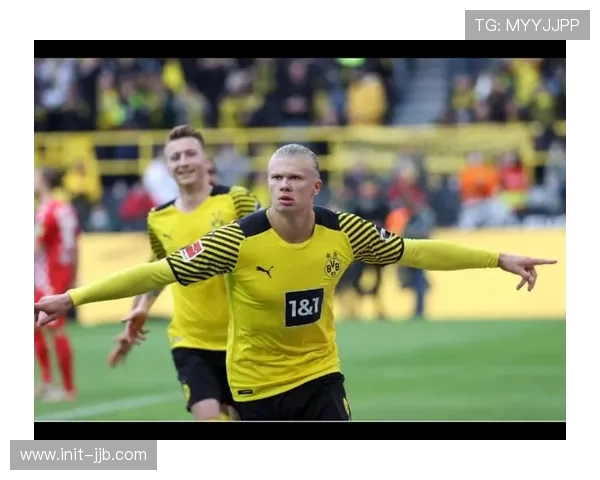 德甲与环保:俱乐部主场全面启用可再生能源 德甲与环保:俱乐部主场全面启用可再生能源